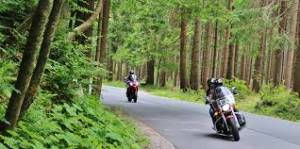 Two motorcycles are riding down a road in the woods.