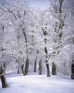 Woodhome Insurance, Pikesville Maryland. Winter Weather Tips, Pikesville, Maryland